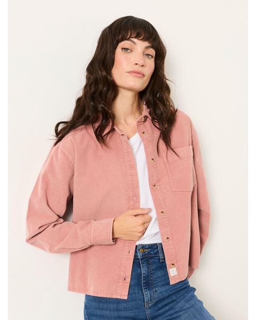 FatFace Pink Fatface Beck Petite Shirt