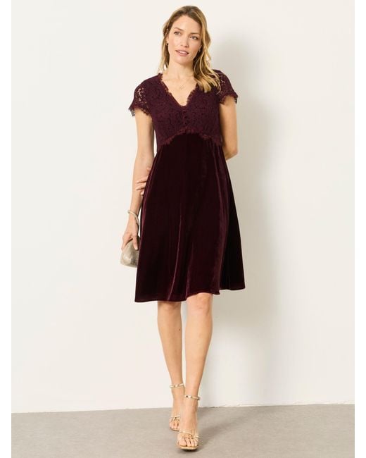 FatFace Brown Fatface Thea Velvet And Lace Dress