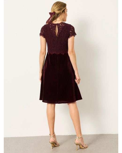 FatFace Black Fatface Thea Petite Velvet And Lace Dress