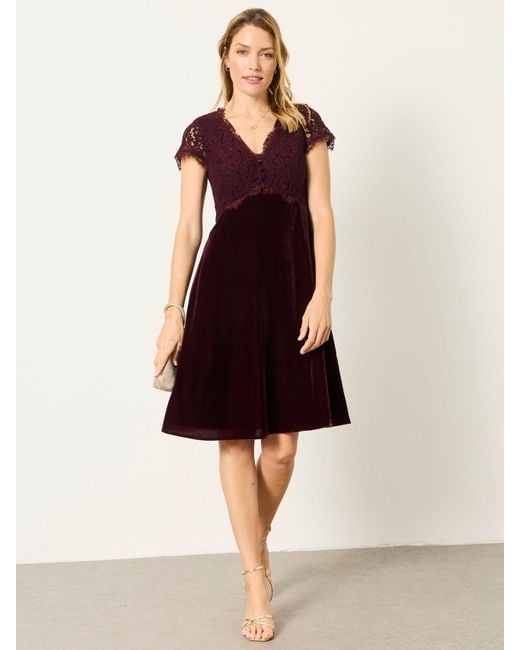 FatFace Black Fatface Thea Petite Velvet And Lace Dress