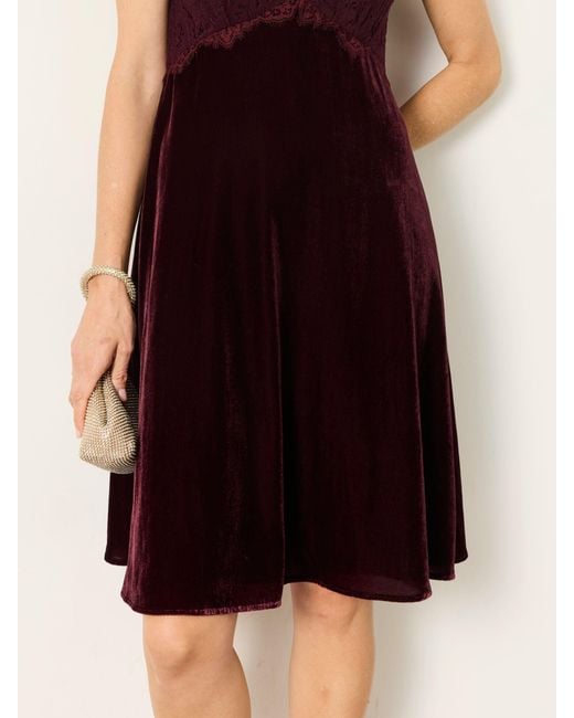FatFace Brown Fatface Thea Velvet And Lace Dress