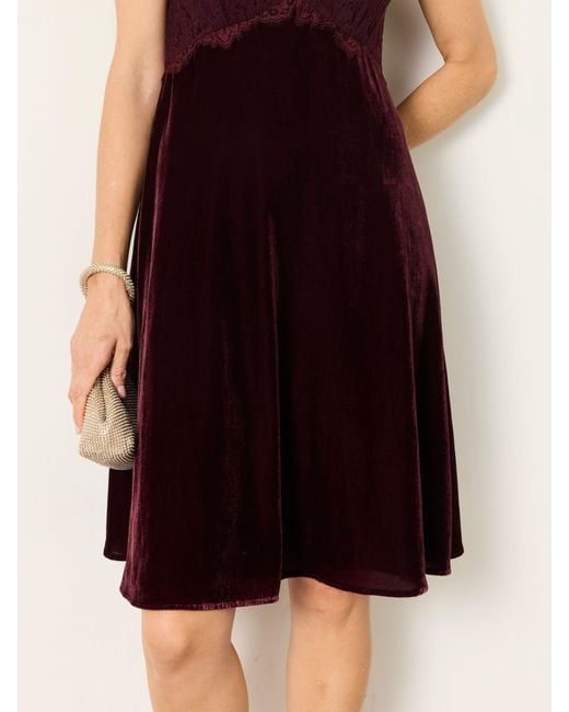 FatFace Black Fatface Thea Petite Velvet And Lace Dress