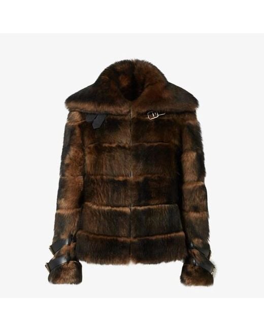 Fendi Brown Blouson