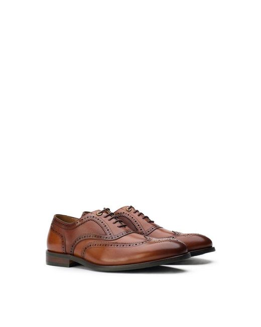 Simon Carter Brown Diplodocus Brogue Shoes for men