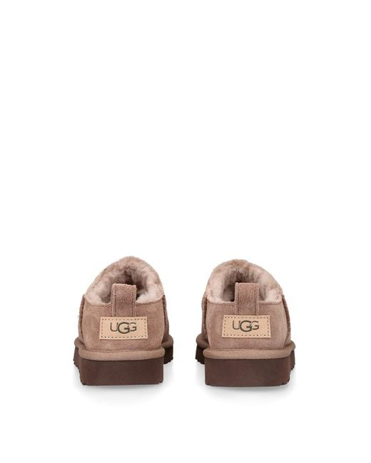 Ugg Brown Classic Micro Boots