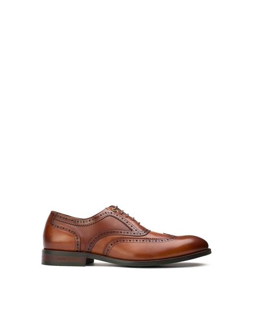 Simon Carter Brown Diplodocus Brogue Shoes for men