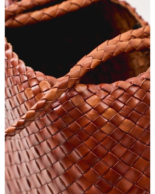 Dragon Diffusion Brown Santa Croce Big Bag