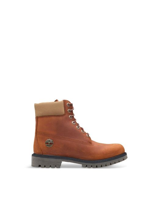 Timberland Brown 6' Premium Boots for men
