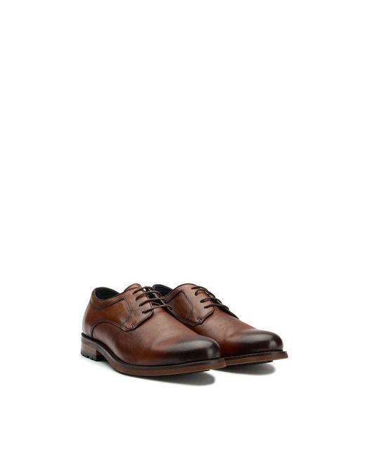 Sole Crafted Brown Level Derby Shoes for men