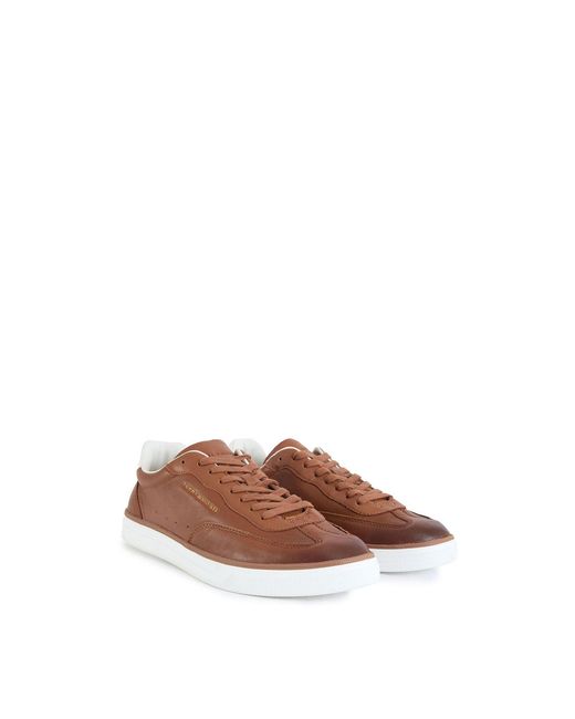 Tommy Hilfiger Brown Low Lux Trainers for men