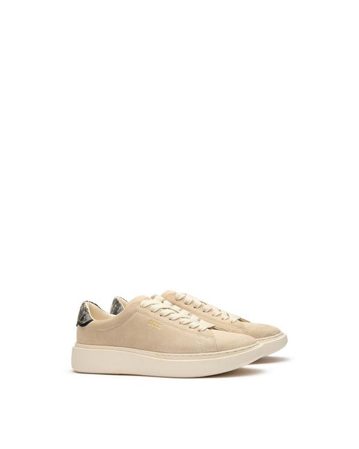 Boss Natural Amber Trainers