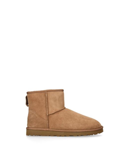 Ugg Brown Classic Mini Boot for men