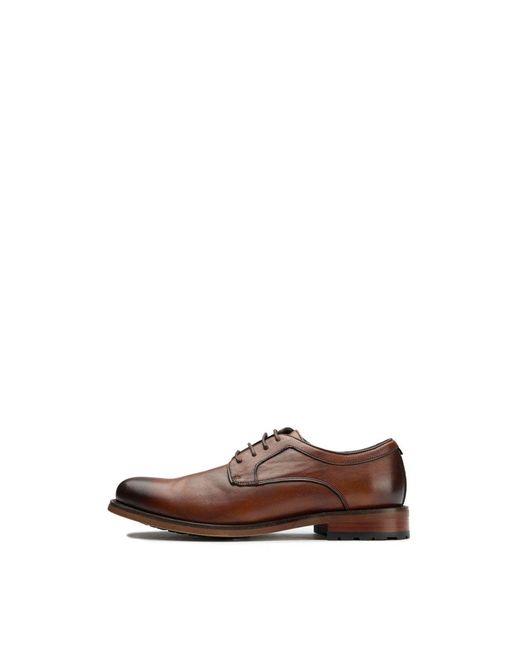 Sole Crafted Brown Level Derby Shoes for men