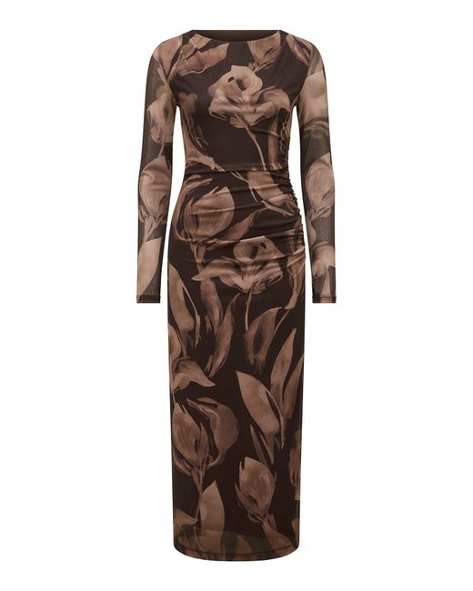 Forever New Brown Alannah Mesh Long Sleeve Midi Dress