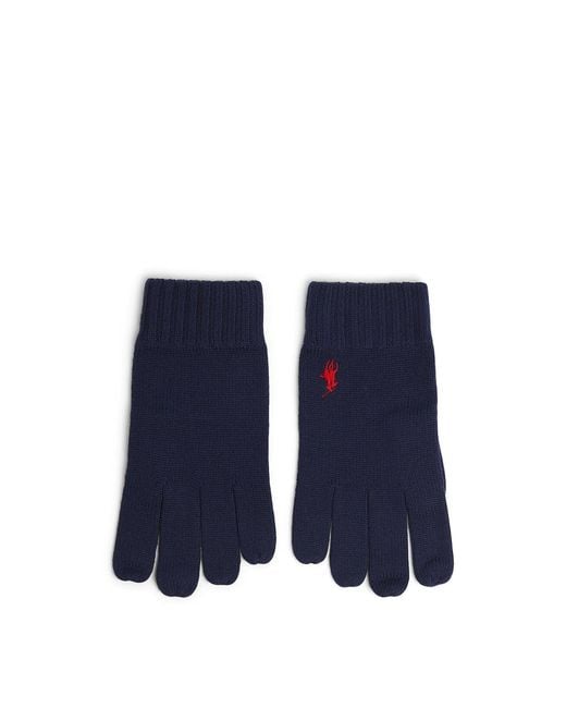 Polo Ralph Lauren Blue Polo Merino Glove for men