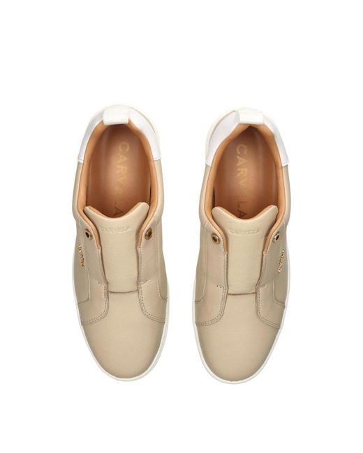 Fenwick White Connected Laceless