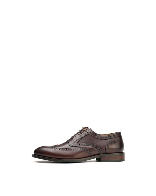 Simon Carter Brown Diplodocus Brogue Shoes for men