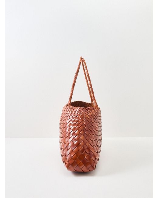 Dragon Diffusion Brown Santa Croce Big Bag