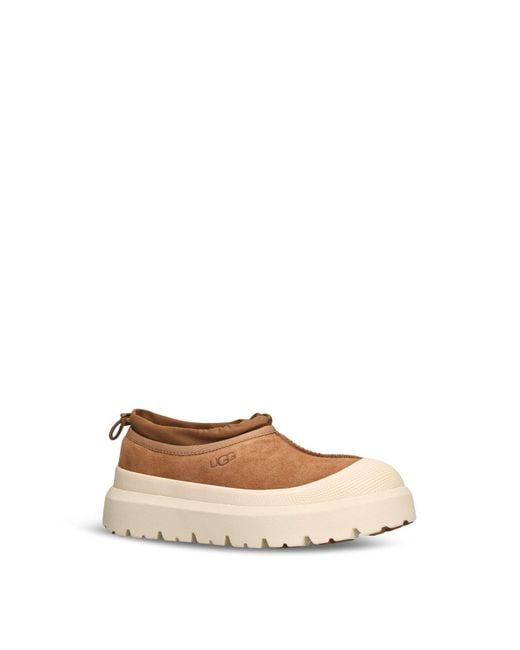 Ugg Natural Tasman Weather Mules for men