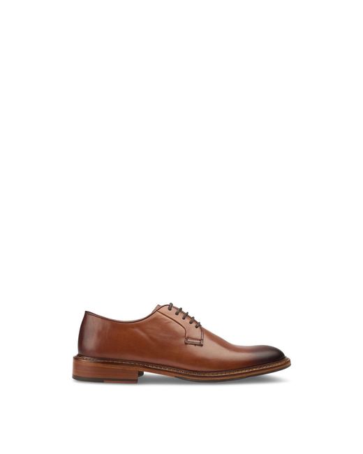 Sole Brown Ewer Derby Shoes, Leather for men