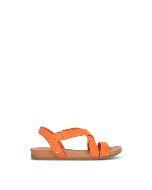 Dune Orange Landies