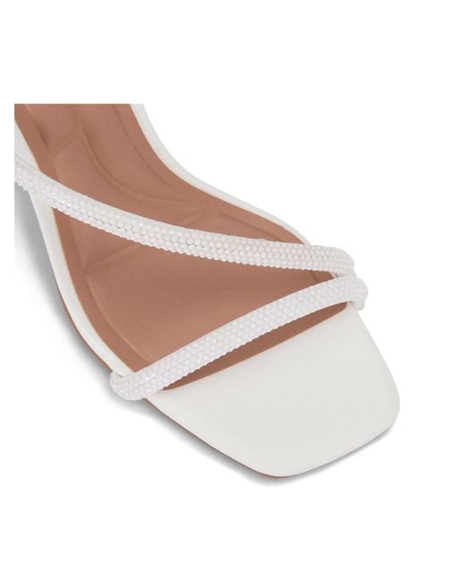 Carvela Kurt Geiger White Women's Paparazzi Low