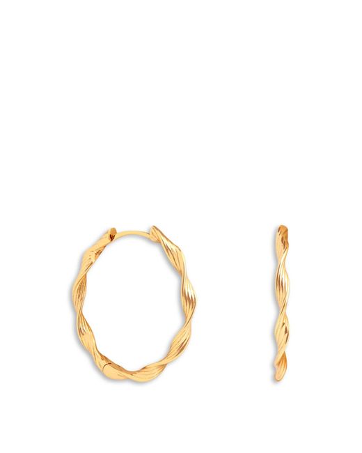 Astrid & Miyu Metallic Twist Hoop Earrings