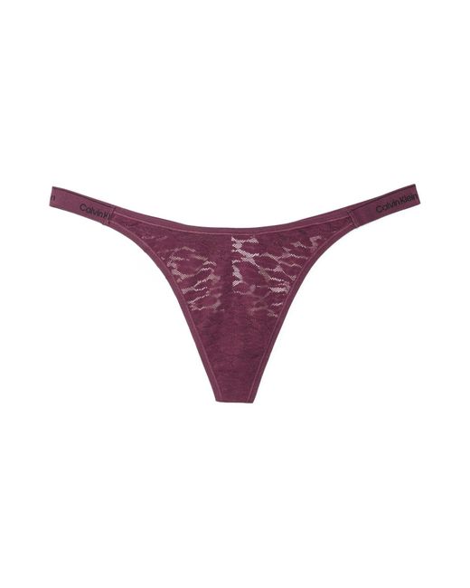Calvin Klein Purple Modern Lace Thong