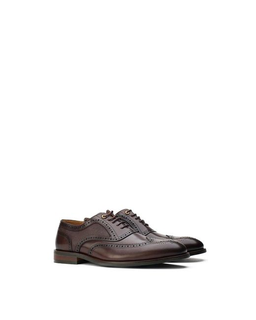 Simon Carter Brown Diplodocus Brogue Shoes for men