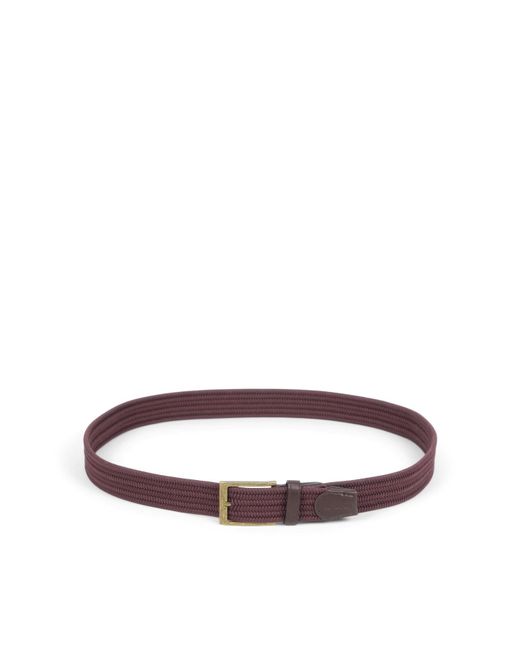 Barbour White Nevis Stretch Webbing Belt for men