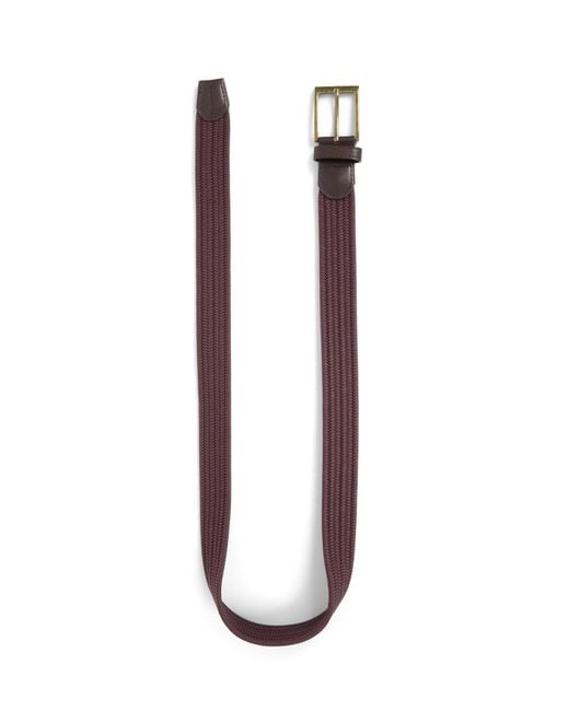 Barbour White Nevis Stretch Webbing Belt for men