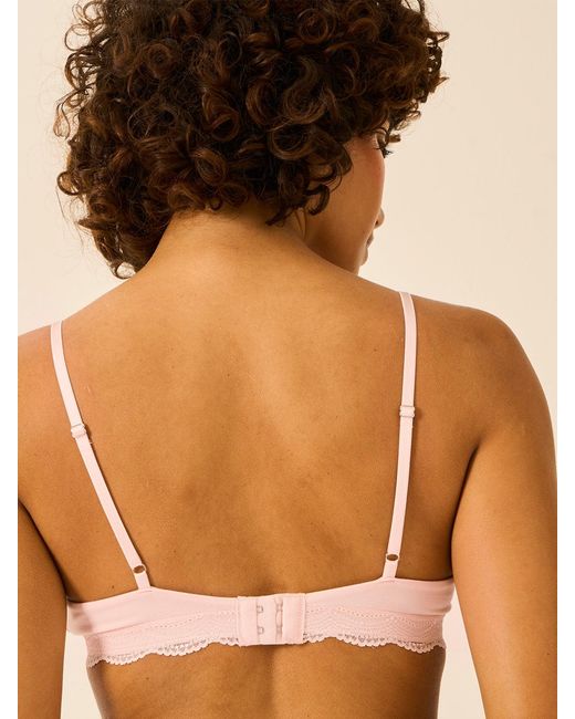 Stripe & Stare Pink Lace Triangle Bra
