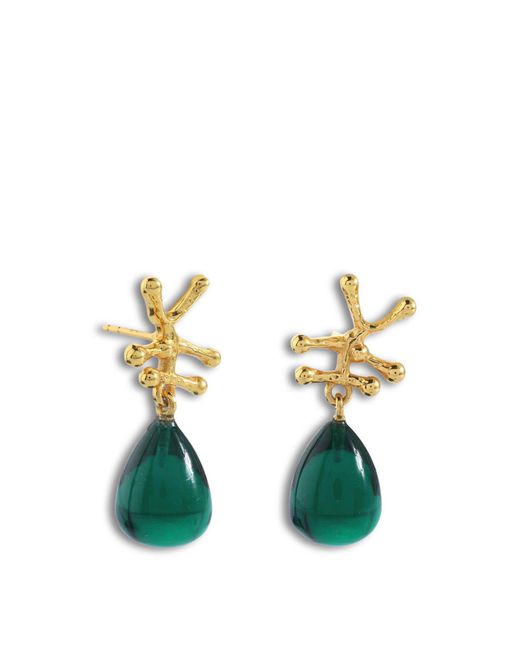 Shyla Green Women's Nuria Earrings