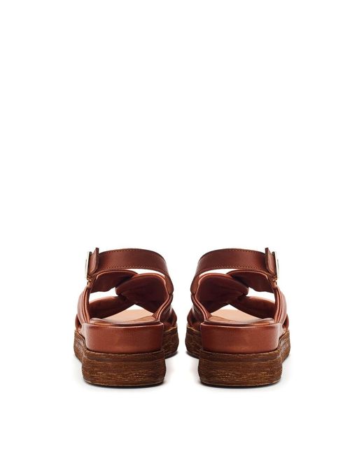 Moda In Pelle Brown Moda
