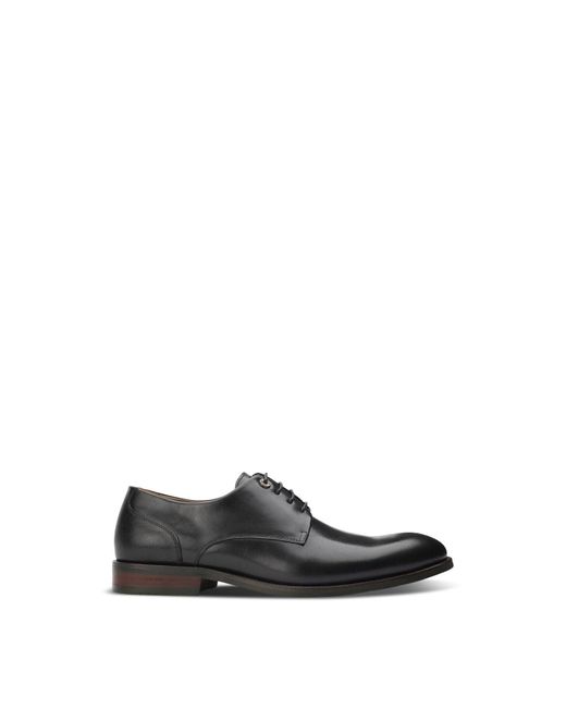 Simon Carter White Stegosaurus Derby Shoes for men