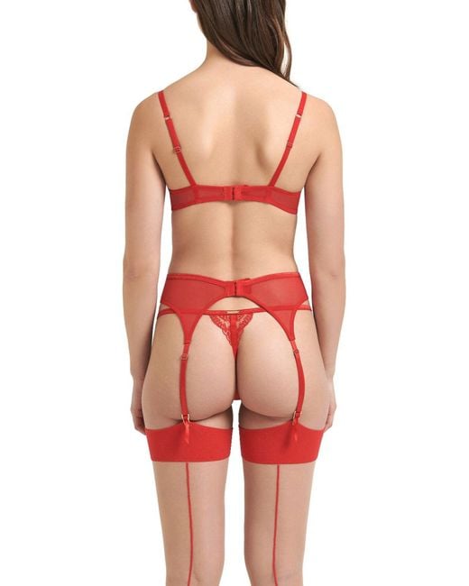 Bluebella Red Marseille Suspender