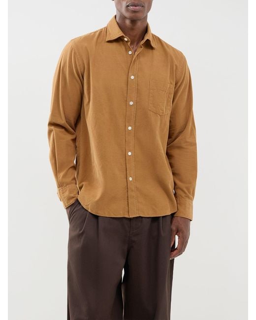 Hartford Brown Paul Baby Cord Shirt for men
