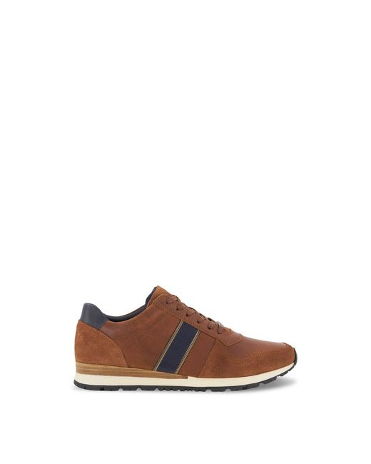 Dune Brown Men's Wf Treck for men