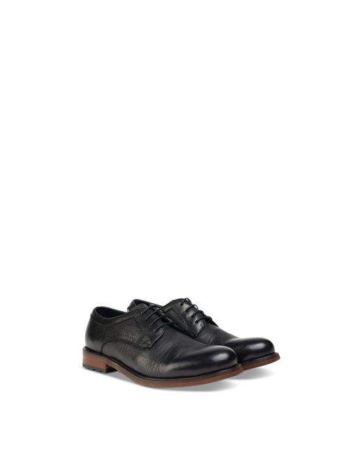 Sole Crafted White Level Derby Shoes for men