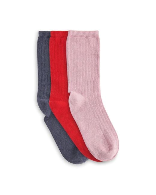 Whistles Pink Women's Ribbed Socks Set Of 3