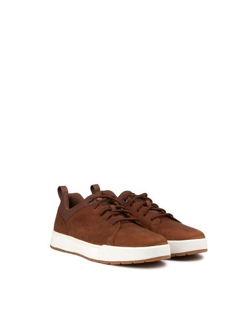 Timberland Brown Maple Grove Trainers for men