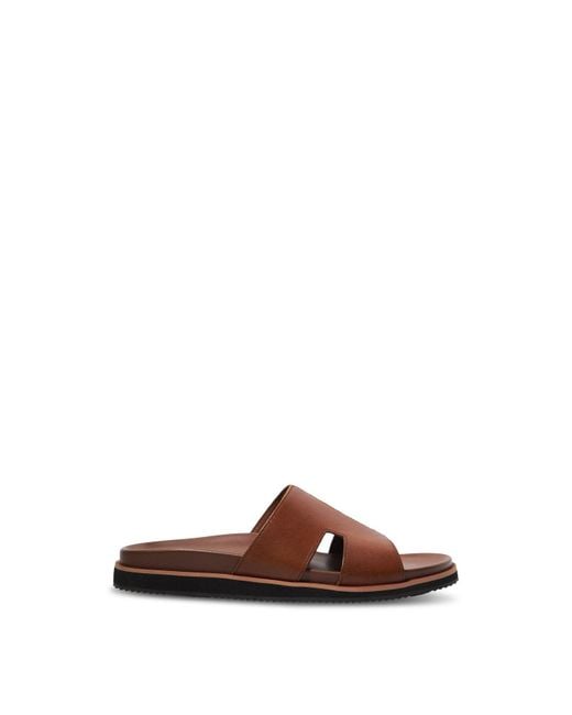 Dune Brown Men's Insight for men