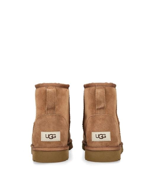 Ugg Brown Classic Mini Boot for men