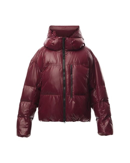 Adidas By Stella McCartney Red Women's Asmc Coat True Nature Padded