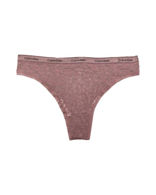 Calvin Klein Purple Modern Lace Brazilian