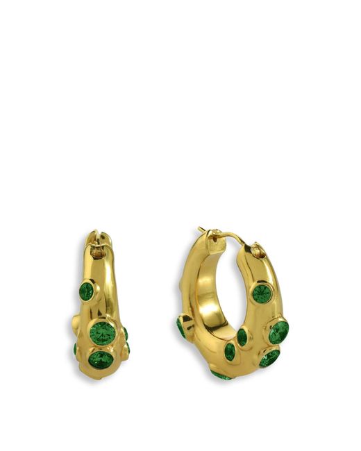 Shyla Metallic Women's Oren Hoop Earrings