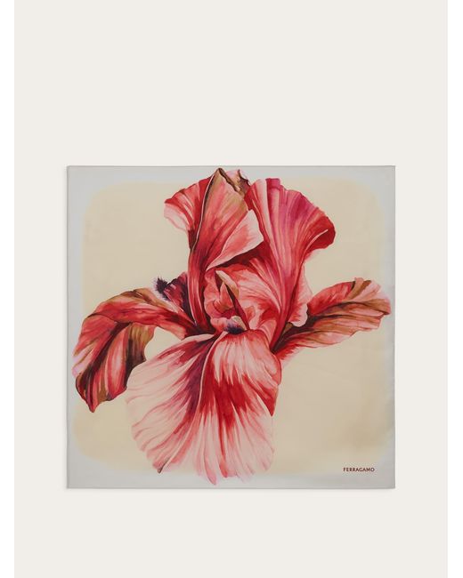 Iris print silk foulard Ferragamo en coloris Pink