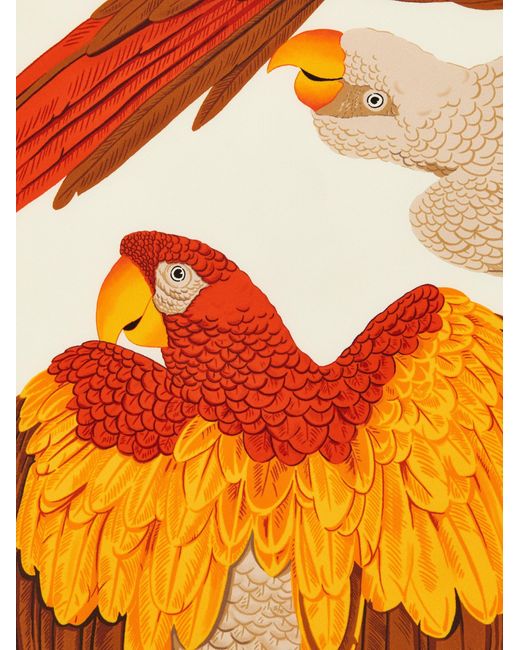 Ferragamo Orange Damen Halstuch Aus Reiner Seide Papagei-Print Weiß