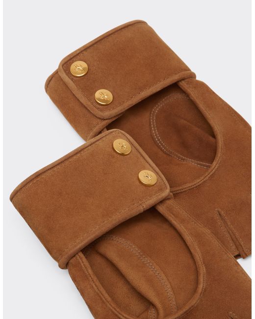 Ferrari Brown Fingerless Gloves for men
