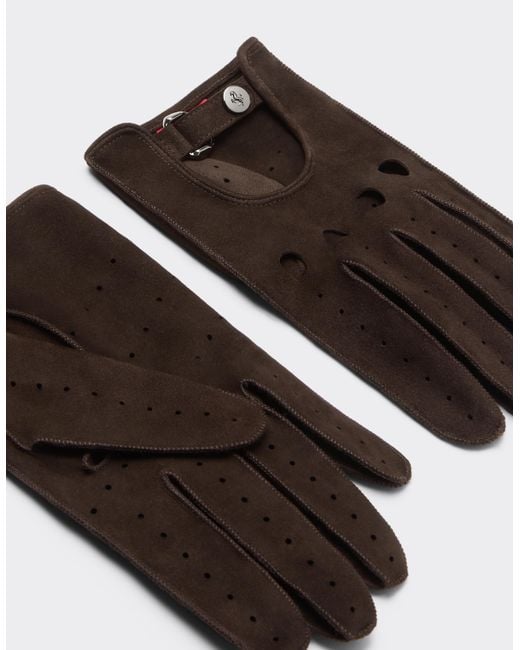Ferrari Brown Suede Leather Driving Gloves for men
